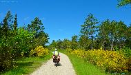 Nationalpark Thy - Nystrup Klitplantage