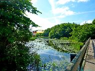 Jægersborg Dyrehave - Mølleåen - Strandmølle Dam &mdash; ⑴ Strandmøllen