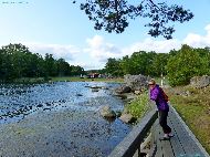 Järnavik