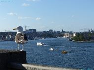 Stockholm - Fjällgatan View point