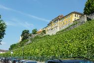 Staatsweingut Meersburg