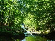 Lorzentobel - Vallée de la rivière Lorze