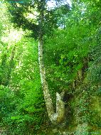 Lorzentobel - Vallée de la rivière Lorze