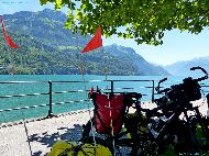 Ingenbohl - Brunnen - Lac des 4 Cantons