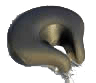 Selle ISM