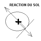 d2